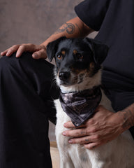 Pañoleta Mascota Raza Grande Dunan X Bohio (Tela Eco)