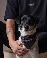 Pañoleta Mascota Raza Grande Dunan X Bohio (Tela Eco)