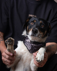 Pañoleta Mascota Raza Grande Dunan X Bohio (Tela Eco)