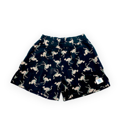 Black Roadrunner Men's Shorts (Chalis)