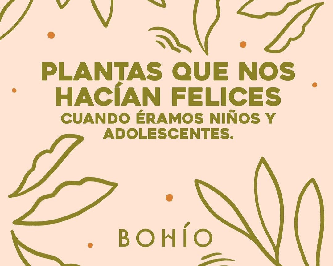 Plantas que nos hacían felices cuando éramos niños y adolescentes