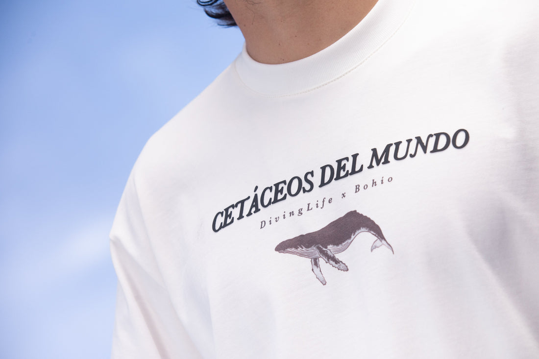 DivingLife x Bohioplaya: Colección Ballenas