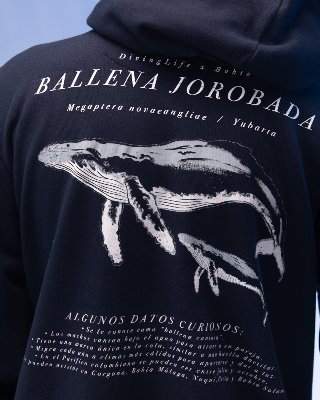 Hoodie Unisex Diving Life X Bohio Azul Oscuro (Algodón 100%)  2025