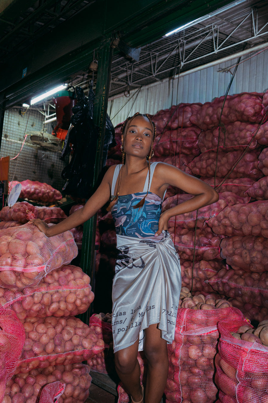 Vestido De Baño Entero Joyas 2 Tiburón Ballena (Tela Eco)
